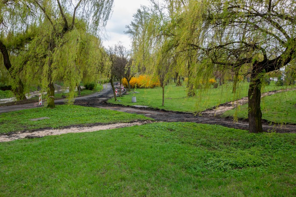 Ścieżka rolkowa w Parku Sieleckim, foto: UM Sosnowiec