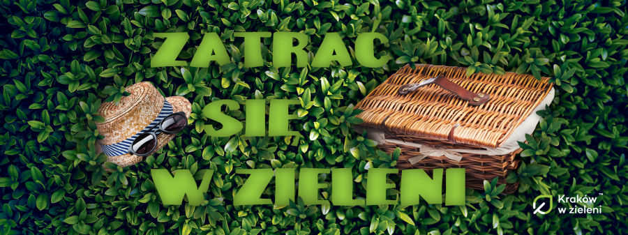 Zatrać się w zieleni – krakowska akcja na lato